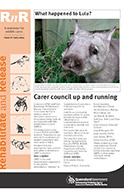 RnR Issue 6  July 2004